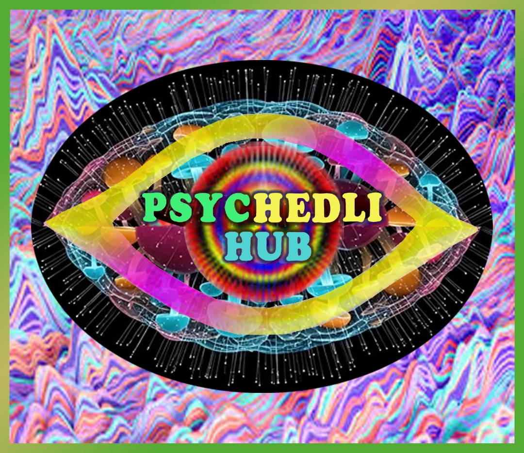 psychedelihub.com